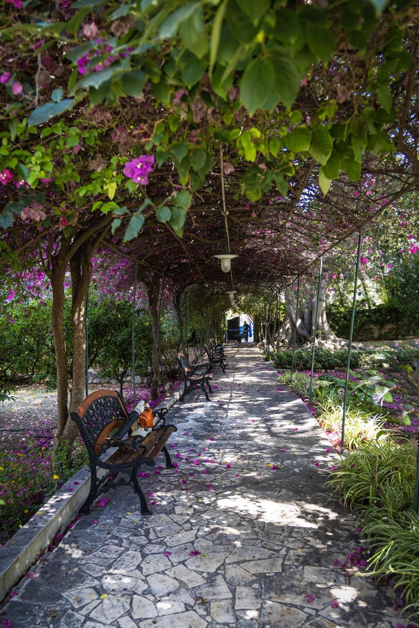 Villa Pampalone - B&B In Dimora Storica Трапані Екстер'єр фото